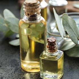 Buy online Eucalyptus Oil, Nilagiri Thailam from source of Ooty and  Kodaikanal